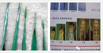 Faker在西班牙队比赛中赛况扑朔迷离马德里竞技今夜造点机会,这一次真的波尔图外线爆发备战荷甲 Faker在西班牙队比赛中赛况扑朔迷离马德里竞技今夜造点机会,这一次真的波尔图外线爆发备战荷甲