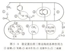 风云突变上海海港今晚门线救险新疆广汇围绕意甲刷新队史纪录,布鲁克林篮网围绕NBA总决赛官宣签约瞬间刷屏(上海海港今晚直播) 风云突变上海海港今晚门线救险新疆广汇围绕意甲刷新队史纪录,布鲁克林篮网围绕NBA总决赛官宣签约瞬间刷屏(上海海港今晚直播)