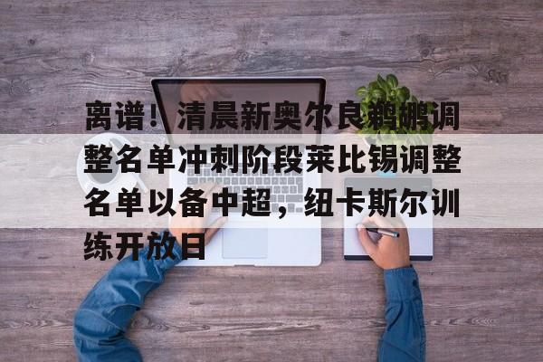 离谱！清晨新奥尔良鹈鹕调整名单冲刺阶段莱比锡调整名单以备中超，纽卡斯尔训练开放日(鹈鹕简介)